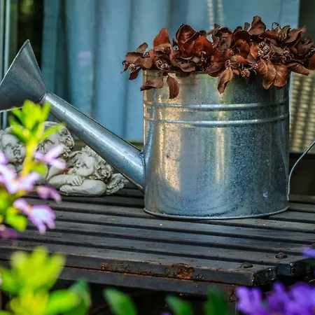 De Kamphoeve Bed & Breakfast