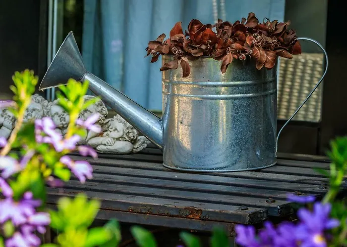 De Kamphoeve Bed & Breakfast